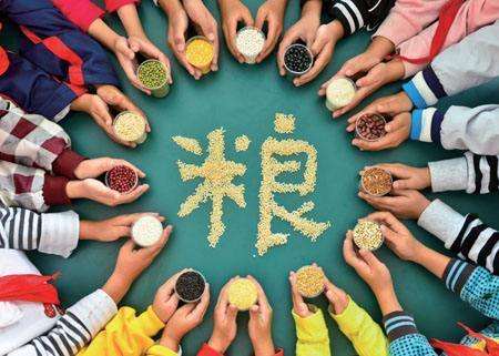 輸送帶廠家：第40個(gè)世界糧食日，食品安全很重要