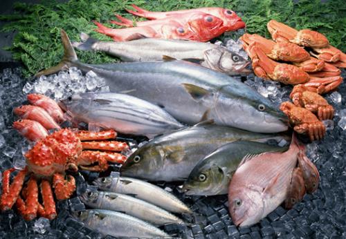 輸送帶廠家：青島天津等疫情均與冷鏈海鮮有關