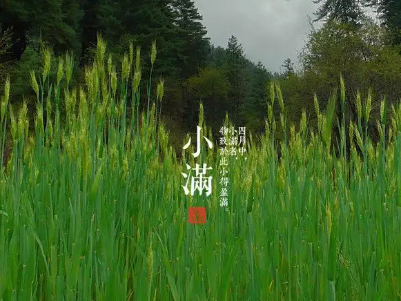 今日小滿，擎川與你一起靜待美滿！
