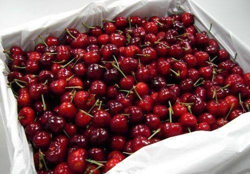 女子5天吃6斤車?yán)遄又卸驹趺椿厥? alt=