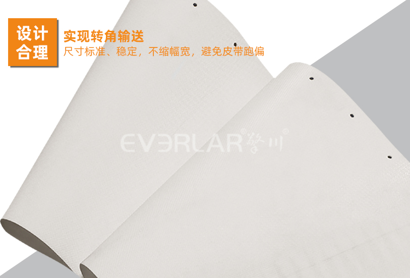 1765006790203275.jpg 轉彎機皮帶細節(jié)圖.jpg